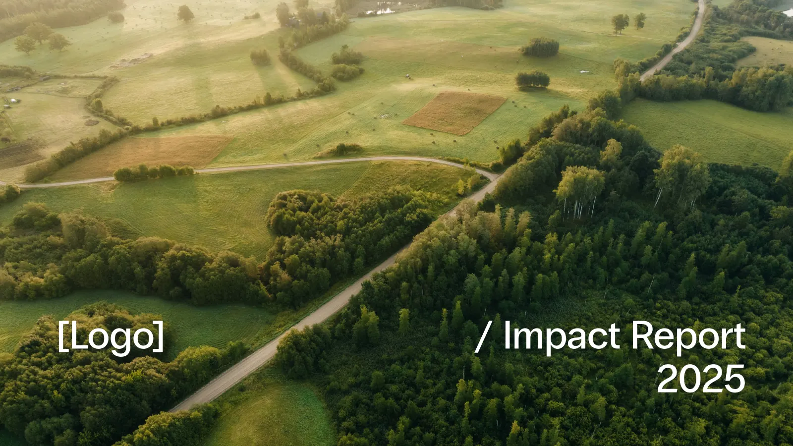 Impact Report 2025 cover over an aerial photograph of farmland